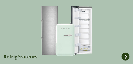 Achetez des réfrigérateurs avec des éco-chèques