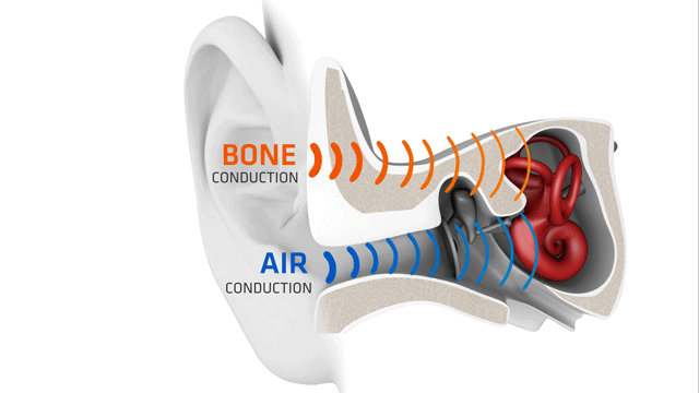 Bone conduction